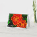 Recherche de bouquet orange photographie Floral