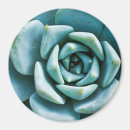 Recherche de épicerie verte magnets Épicé