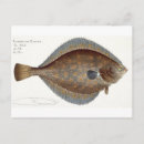 Recherche de plie cartes postales Vie