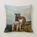 Recherche de irlande coussins Pays