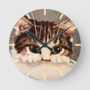 Recherche de curieuse horloges Animal