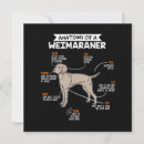 Recherche de weimaraner invitations Chien