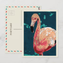 Recherche de flamand rose cartes postales Flamant