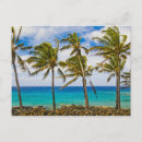 Recherche de cocotier cartes postales Vacances