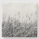 Recherche de photographie paysage de dessous de verres Noir et blanc