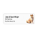 Recherche de akitas cartes postales Animal