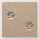 Recherche de empreinte patte verres dessous de verres Chien