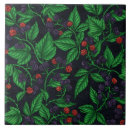 Recherche de dessin botanique carreaux Plante