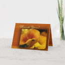 Recherche de zantedeschia vœux cartes Lis