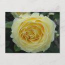 Recherche de paysage fleuri cartes postales Nature