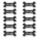 Recherche de vétérinaire loisirs créatifs Chiot