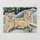 Recherche de deux lions cartes postales Safari