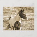 Recherche de poney de peinture cartes postales Cheval