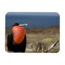 Recherche de equateur magnets Port