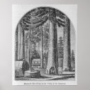 Recherche de gigantesque posters Arbres