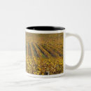 Recherche de obispo tasses San luis obispo