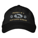 Recherche de plat casquettes Chien
