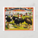 Recherche de autruche cartes postales Vintage