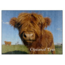 Recherche de taureau planches à découper Animal