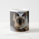 Recherche de ragdoll tasses Animal de compagnie