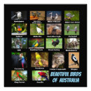Recherche de australie art Nature