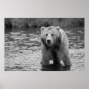 Recherche de ours blancs posters Moderne
