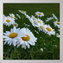 Recherche de marais art Jardin