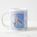Recherche de poitrine tasses Nuthatch