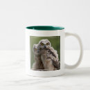 Recherche de hibou de bébé tasses Nature