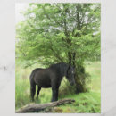Recherche de le cheval prospectus Mignon
