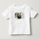 Recherche de sichuan Ours