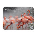 Recherche de smithsonien Zoo national
