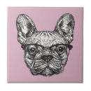 Recherche de bouledogue français carreaux Hippie