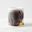 Recherche de duck tasses Animal