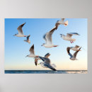 Recherche de animaux de mer posters Pour elle