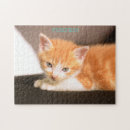 Recherche de chaton noir puzzles Casse tête