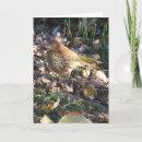 Recherche de brun toutes vœux cartes Toutes les occasions