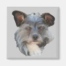 Recherche de moutons magnets Pour elle