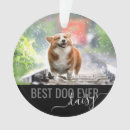 Recherche de corgi christmas decor Dogs