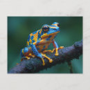 Recherche de grenouille bleue cartes postales Toute personne
