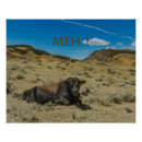 Recherche de ouvert posters Pour tous