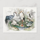 Recherche de la cigogne cartes postales Pour tous