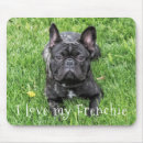 Recherche de french bulldog tapis souris Chien