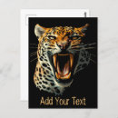 Recherche de jaguar animal cartes postales Félin