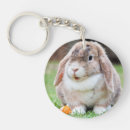 Recherche de lâche porteclés Lapin