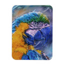 Recherche de perroquet vert magnets Oiseau