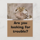 Recherche de lézard cartes postales Humour