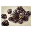 Recherche de mûre posters Fruit