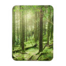 Recherche de kerry magnete Paysage