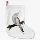 Recherche de bird chaussette de noël Animal
